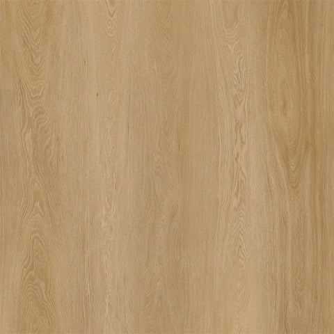 AL1004 Brookfield 10MM 100% WATERPROOF VINYL FLOOR (WPC EIR) (60"X8.98")